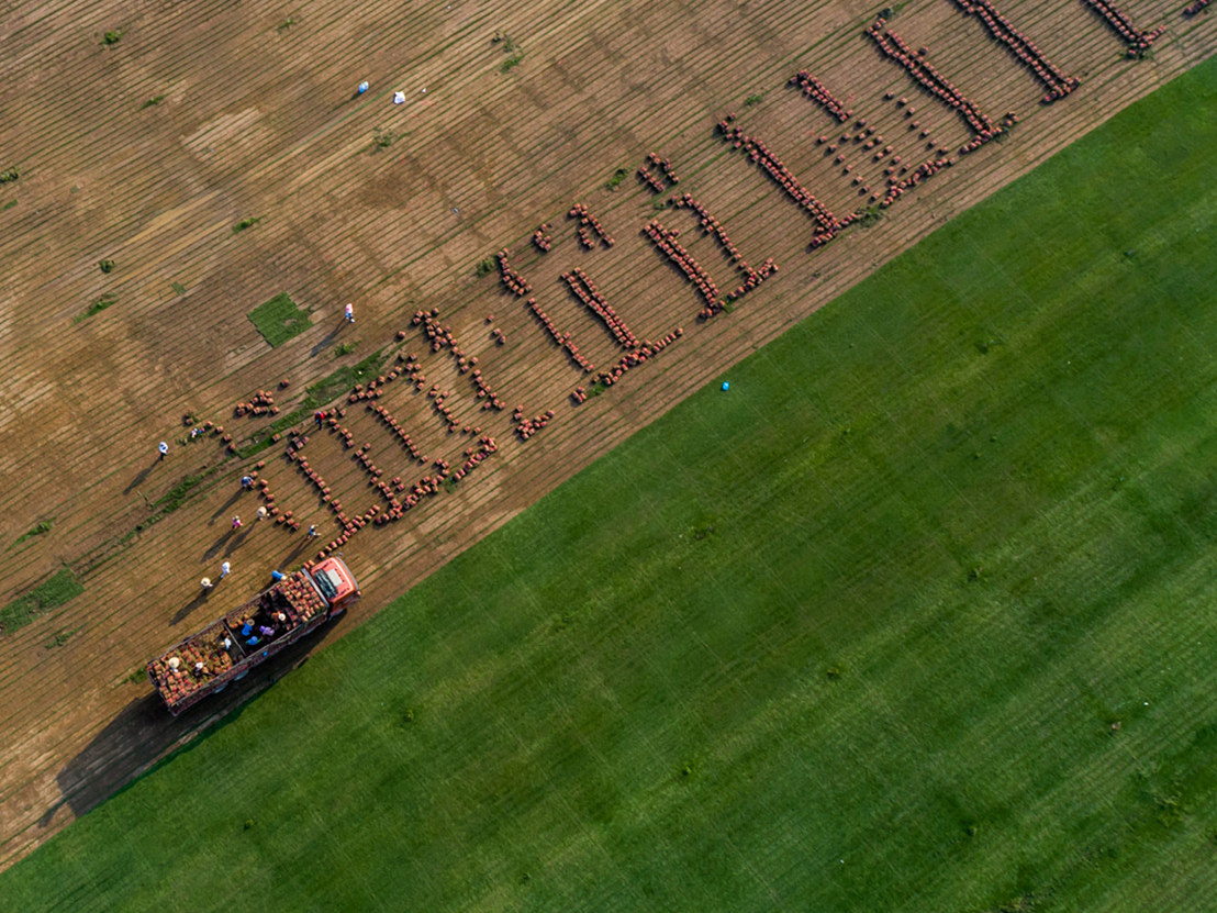 黎彤《草场欢歌》