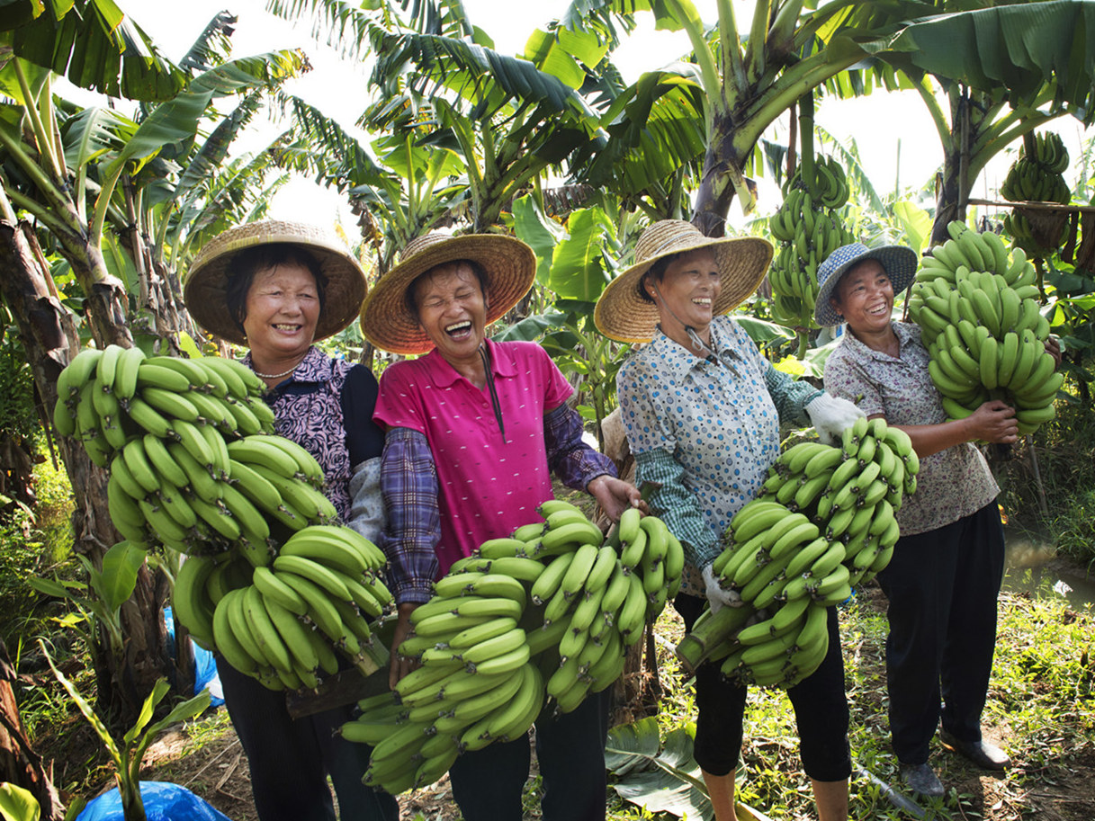 刘浩玲《丰收的喜悦》