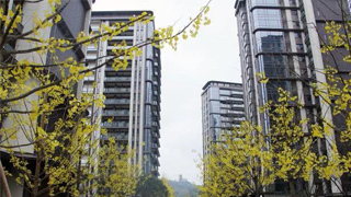 11月70城房价出炉 ！房地产市场总体稳定