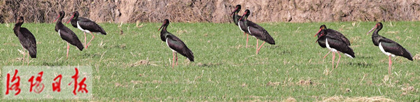 已經是最後一頁了