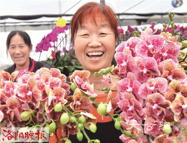  河南洛阳：年宵花俏添喜氣