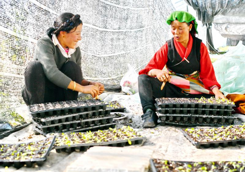 中方斥美众议院“西藏法案”干涉中国内政