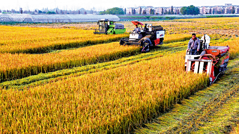 ﻿中央一号文件 锁定脱贫补短板两大任务