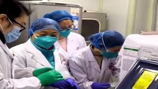 广东派出移动P3实验室 驰援湖北