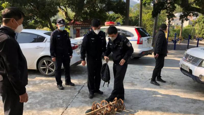 全国人大拟修野生动物保护法