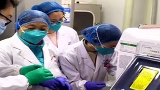 截至2月12日，21569名医护人员支援湖北医疗救治