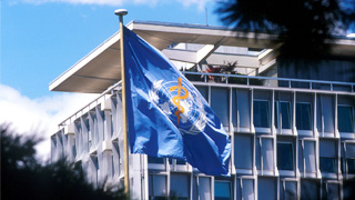 世卫组织支持中国采纳临床诊断结果确诊新冠肺炎病例