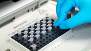 国资委：新冠肺炎疫苗研发正紧锣密鼓推进