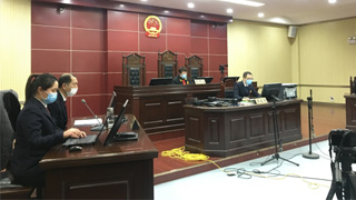 最高检发布一批妨害新冠肺炎疫情防控犯罪典型案例