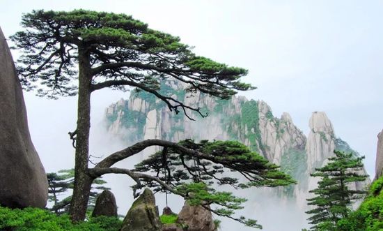 安徽黃山景區嚴格把關保障復工餐飲食品安全