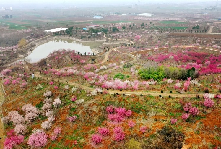 南阳市卧龙区：植树造绿正当时