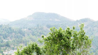 农业农村部：25省份近八成乡镇道路通畅