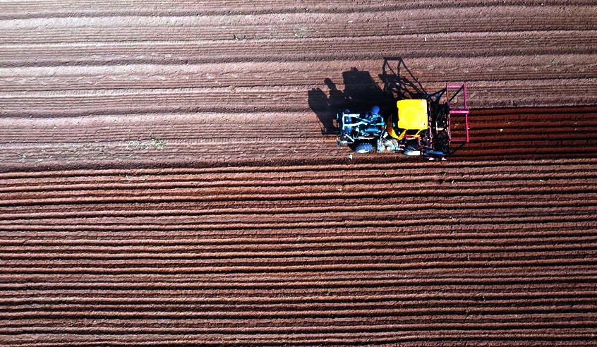 河南温县：惊蛰时节农事忙