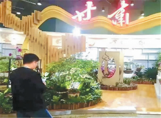 甘肃：牡丹花开脱贫路