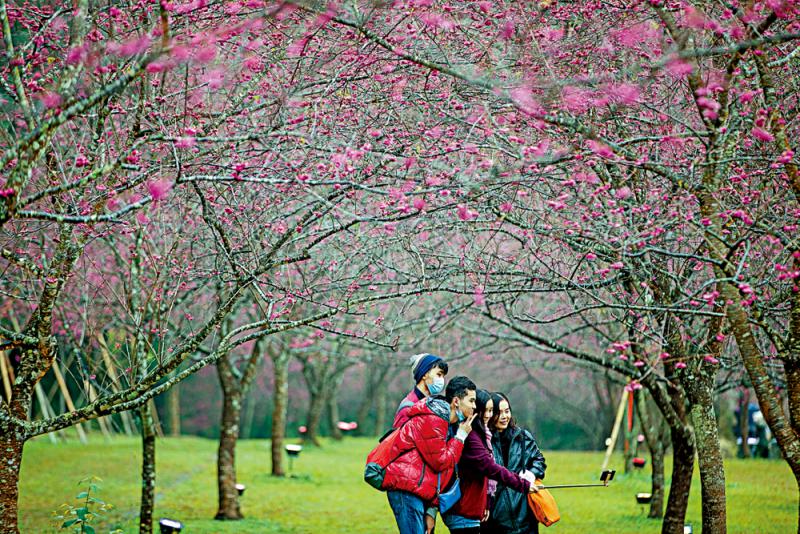 中牟县文化广电旅游局关于征集新型冠状病毒感染的肺炎疫情 防控题材文艺作品的通知