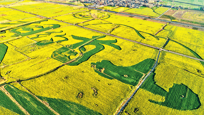 花開爛漫 春光無限
