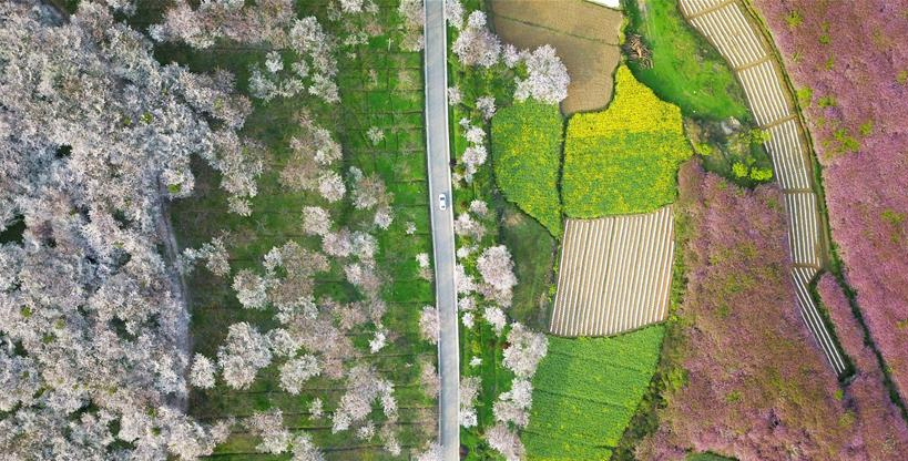 貴州：一路繁花相伴 