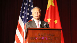 崔天凯：中美关系正处在一个关键节点