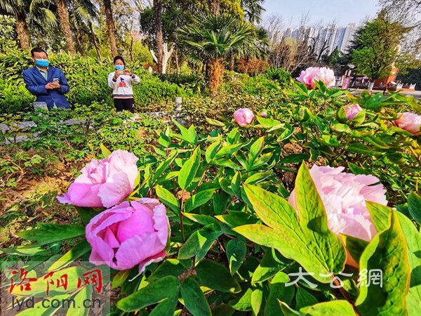 已經是最後一頁了