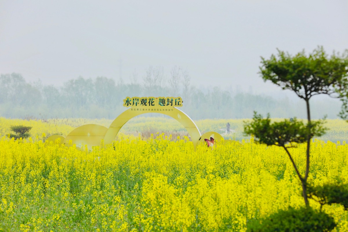 封丘第四届国潮油菜花旅游季28日揭幕