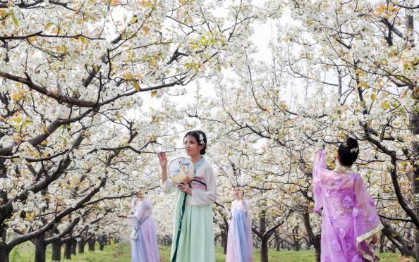 洛宁金珠沙梨梨花节发出云上邀约