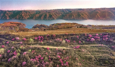河南洛陽：打牢生態底色 建設美麗鄉村