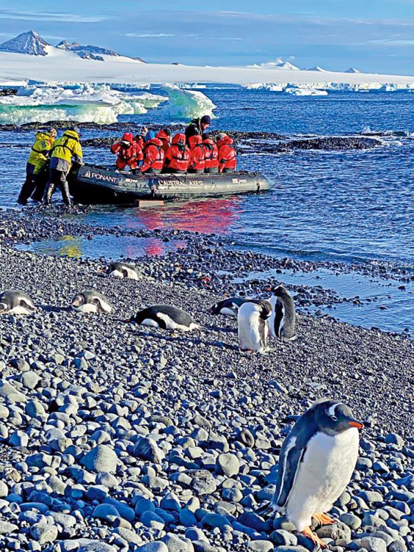 ﻿妍之有理南极归来，竟遇上世界末日屈颖妍