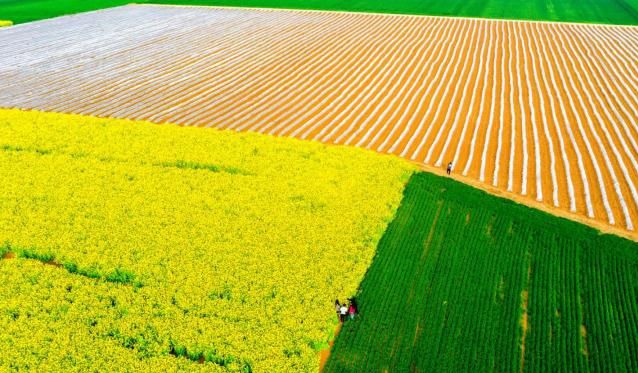 洛宁：大地如画 村民增收