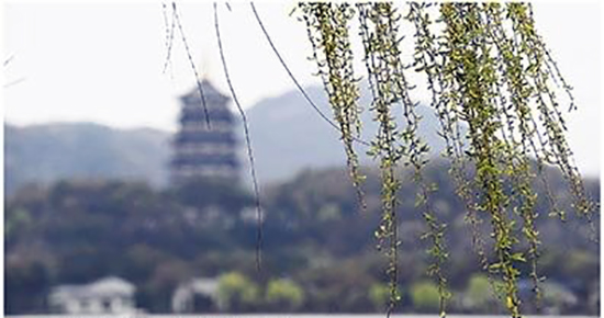 杭州西湖春意濃