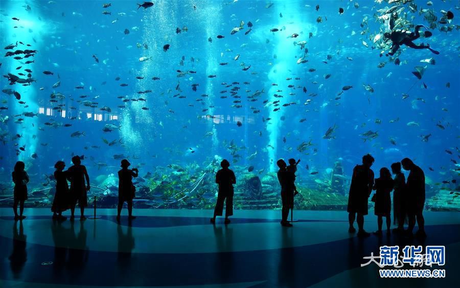 （經濟）（5）美麗三亞迎“春”來