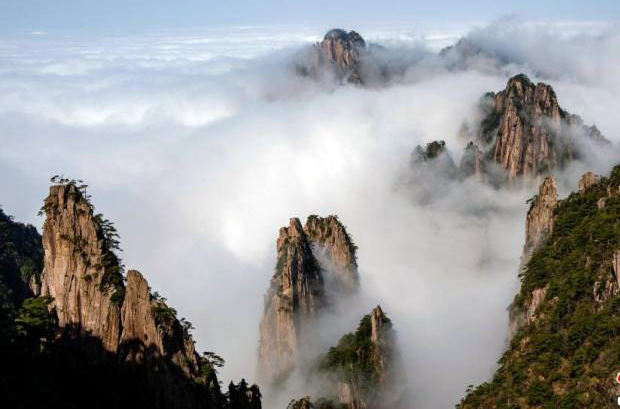 春遊養生派：登世界自然遺產名山