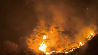 四川西昌突发森林火灾造成19人遇难