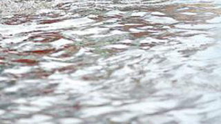 长江委：今年可能发生流域性较大洪水 做好防范应对