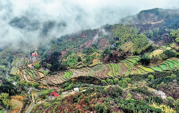 春到山城遊古鎮 煙雨笙歌醉裡歸