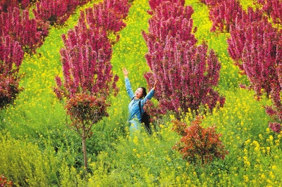 河南滎陽：美麗鄉村希望田野