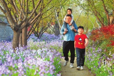 乡村游赏花游近郊游成为河南出游热点