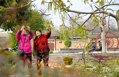 洛陽吉利區：美麗山村新圖景 