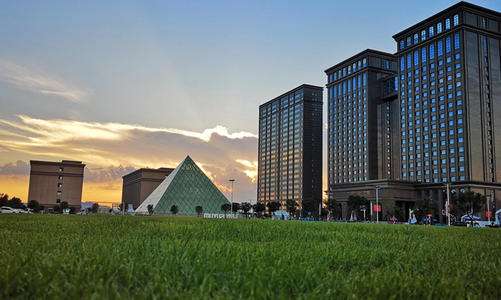 生猪价格大幅上涨 牧原股份首季利润超40亿