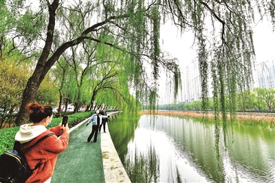 豫多项金融扶持措施促进文旅企业稳定发展