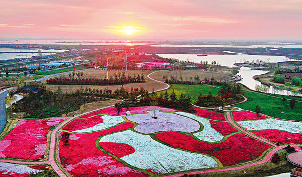 西藏林芝：漫山桃花競相開放
