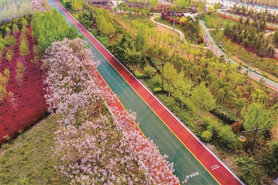 河南洛陽：「樂道」惠民 詩意棲居 