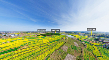 2020望江油菜花VR雲端賞游