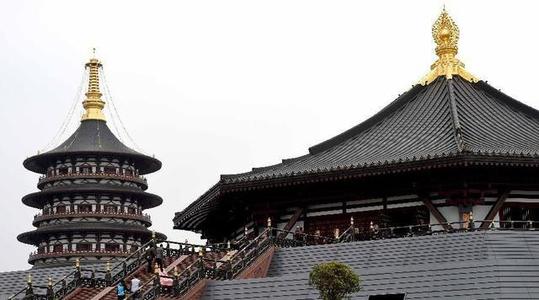 发挥优势 补足短板 推动洛阳建设国际人文交往中心|陈智宇