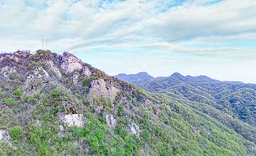 四棵樹鄉平溝村杜鵑花720°VR全景