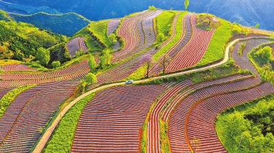 洛宁：阡陌交通 扮靓山川
