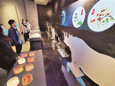 从黄河之魂汲取奔腾力量|张庆旭