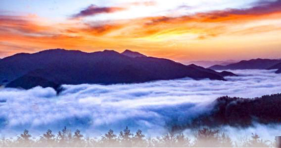 甘肅兩當 「彩色雲海」波起峰涌「色域」撩人