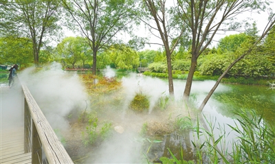 鄭州植物園霧森景觀宛如仙境