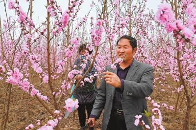 老岳的桃花情结