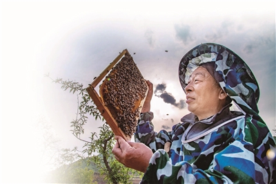 嵩县脱贫户张嵩现：奋斗赢得幸福来